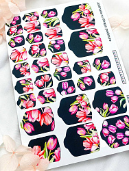 Пленки AmiNails T603