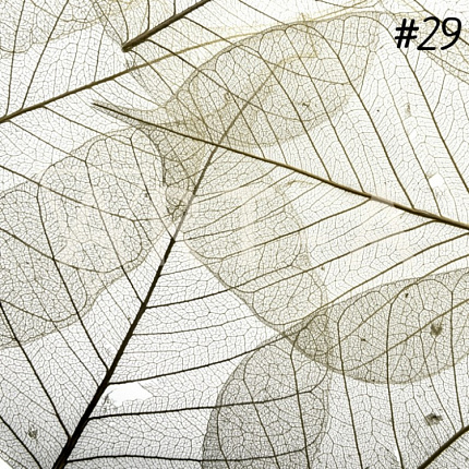 Art-A Фотофон виниловый 40*45см 29