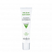 ARAVIA Крем-корректор для проблемной кожи против несовершенств Anti-Acne Spot Cream, 40 мл