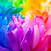 Art-A Фотофон виниловый 40*45см 59 